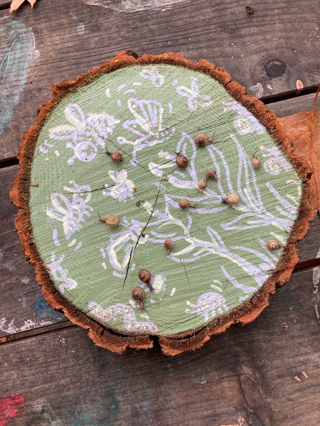 several snails on a piece of painted wood